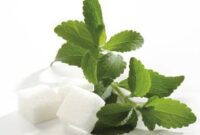 Produsen stevia