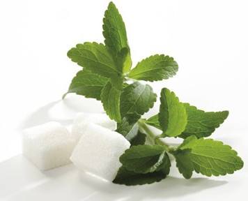 Produsen stevia